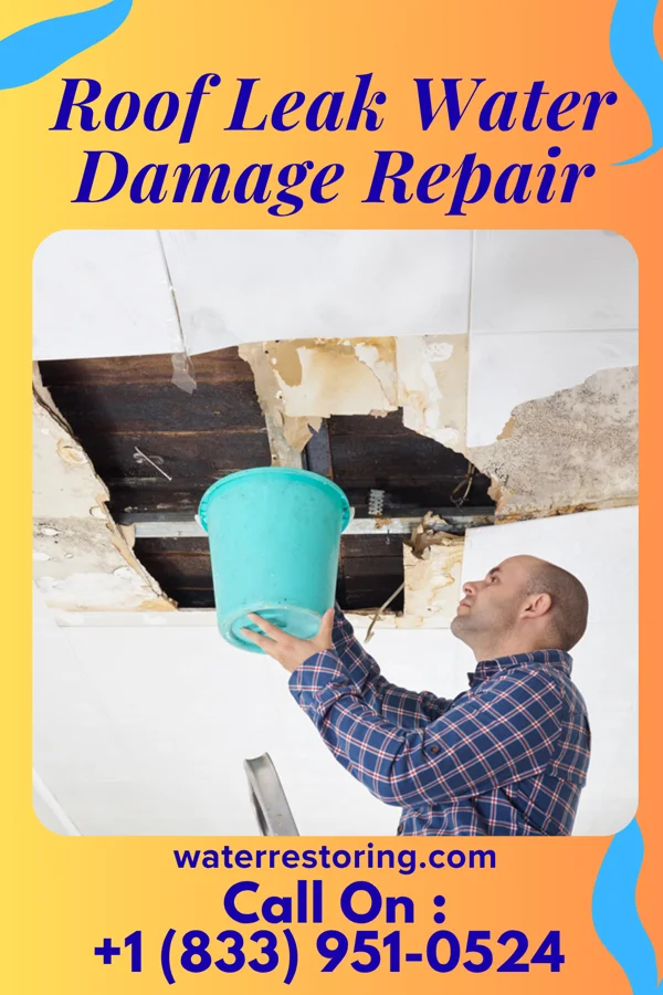 Roof Leak Water Damage Repair in Smithland, IA